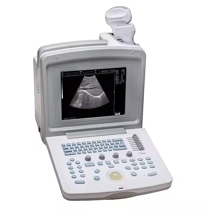 220-Portable Mini Handheld Veterinary Ultrasound Scanner Animal-Color Veterinary Therapeutic Equipment.jpg
